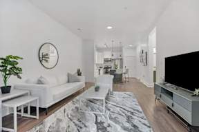 A living room with a white couch, a grey sofa, a white coffee table, a grey rug, a black television, a potted plant, and a round mirror on the wall.