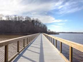 A wooden boardwalk extends into a body of water with trees on the side.