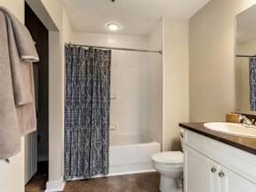 A bathroom with a toilet, sink, and shower.