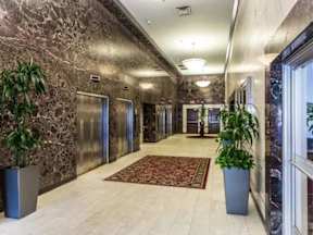 A hallway with marble walls and a red rug.