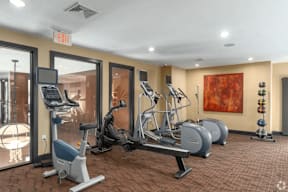A gym with a variety of equipment including treadmills, stationary bikes, and weight machines.