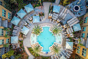 A round swimming pool surrounded by a white fence and palm trees.