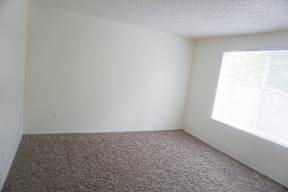 an empty room with carpet and a window