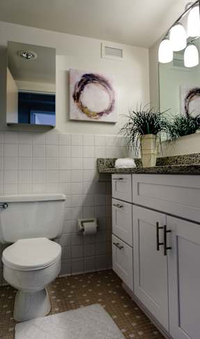 bathroom at Hampton Plaza Apartments, Maryland, 21286