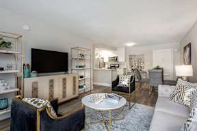 a living room with a couch and chairs and a tv