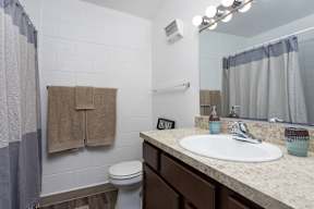 a bathroom with a sink and a toilet and a shower