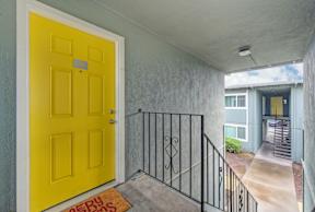 The Canopy | Entry