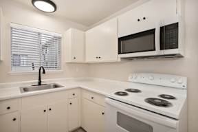 The Camellia on Buck | Kitchen