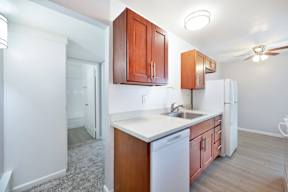 The Canopy | Kitchen