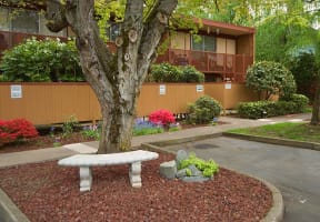 a stone bench sitting under a tree in front of a building