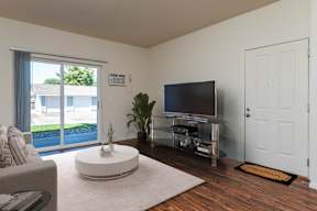 A living room with a television, a couch, and a plant.