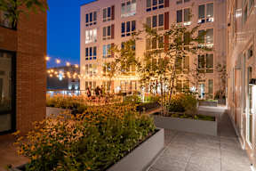 The Warren | Rooftop Patio
