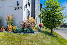 A tree is next to a building with the number 3001 on it.