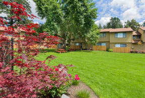 a green lawn in front of an apartment building