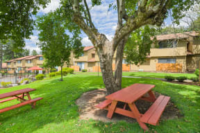 a picnic table under a tree in front of an apartment building