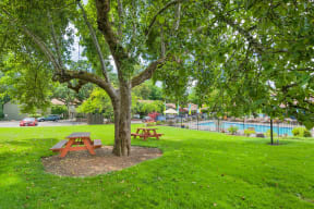 a park with two picnic tables under a tree