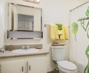 a bathroom with a toilet and a sink and a mirror