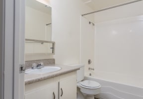 a bathroom with a sink and a toilet and a shower