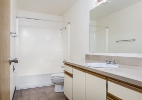 a bathroom with a sink and a toilet and a mirror