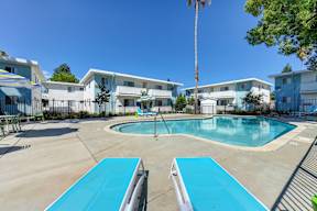 The Camellia on Buck | Pool