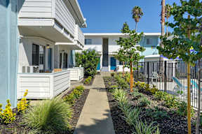 The Camellia on Buck | Exterior