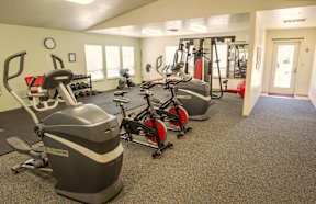A gym with a variety of equipment including treadmills, stationary bikes, and weight machines.