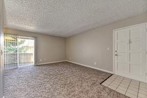Empty room with carpeted floor and sliding glass door.