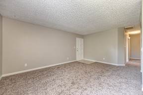 A room with a carpeted floor and a door.