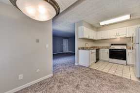 A kitchen with white cabinets and appliances in a room with carpeted flooring.