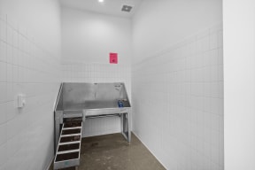 Boxcar | Pet Wash