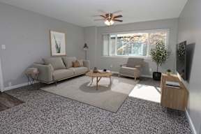 The Canopy | Living Room