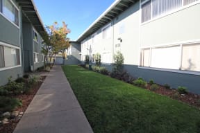The Canopy