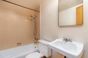 a bathroom with a sink toilet and tub and a mirror