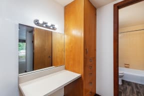 a bathroom with a large mirror and a sink