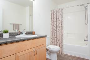 A bathroom with a sink, toilet, and shower.