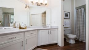 Village at Main Street | Bathroom with Ample Vanity and Large Mirror