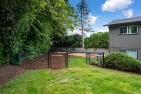 a yard with a fence and a house behind it