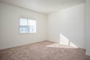 A room with a carpeted floor and a window letting in sunlight.