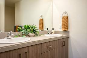 A bathroom with two sinks and a mirror.