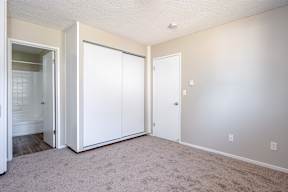 A room with a white door and a white closet.