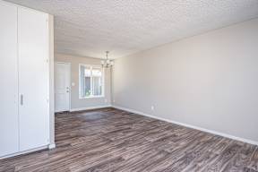 A room with wooden flooring and a white door.