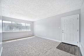 The Canopy | Living Room