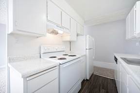 The Canopy | Kitchen