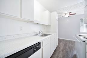 The Canopy | Kitchen
