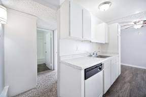 The Canopy | Kitchen