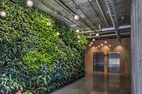 A green wall of plants lines a hallway at The Anthem at Square 10 Apartments, New Haven, Connecticut