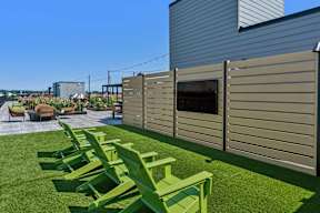 A row of green chairs are lined up on a lawn.