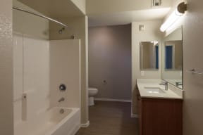 Issaquah Apartments- Bergen Apartments- Bathroom