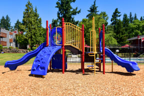 a playground with a blue and red slide and monkey bars