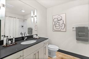 A bathroom with a white toilet and a black counter top.